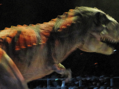 IMG_1012.gif