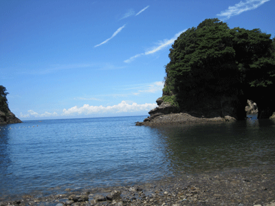 IMG_1068.gif