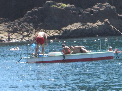 IMG_1072.gif