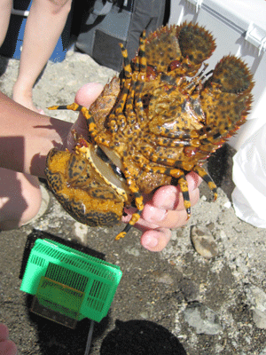 IMG_1079.gif