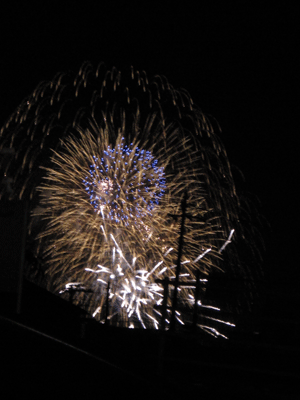 IMG_1197.gif