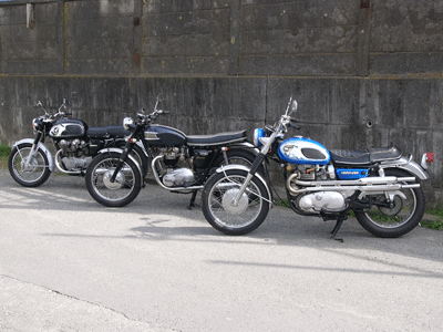P1100369.gif